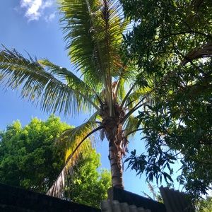 Meet your Posher, Randy